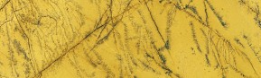 Amarillo Indalo
