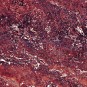 Travertino Rojo